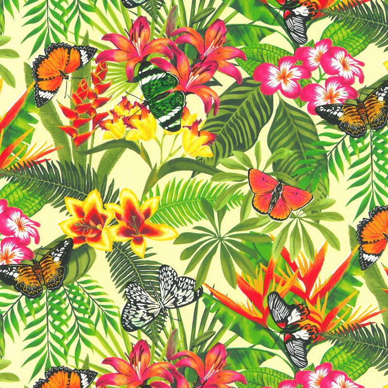 Gecoat inpakpapier - Vlinder dessin