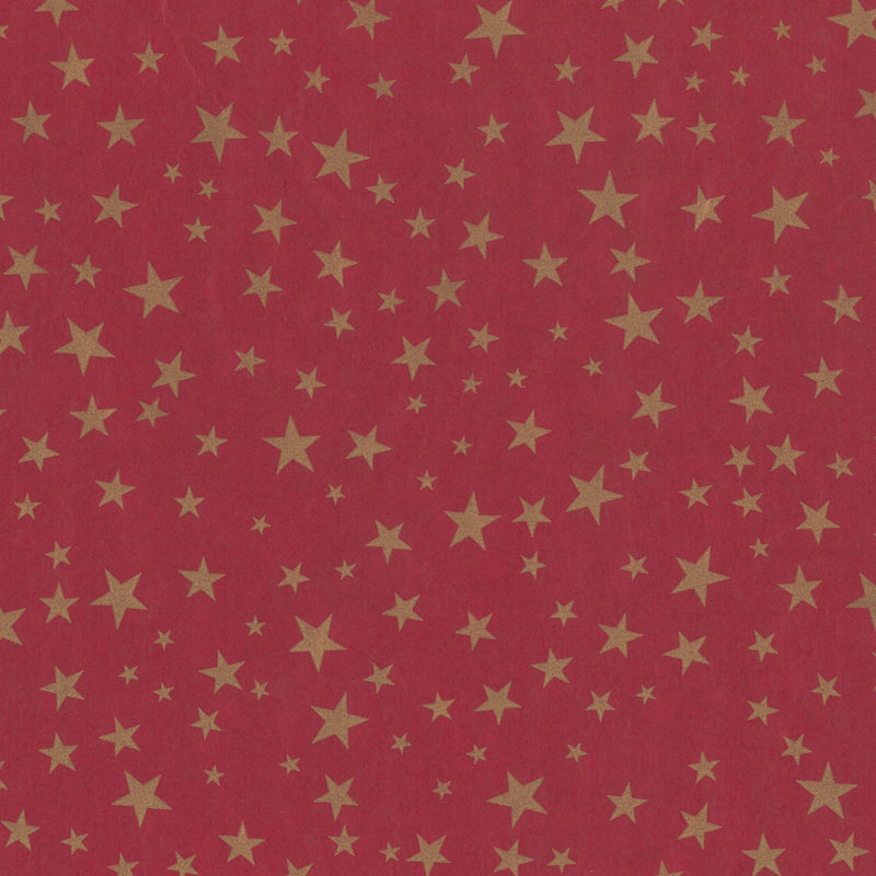 Kerst inpakpapier type D074